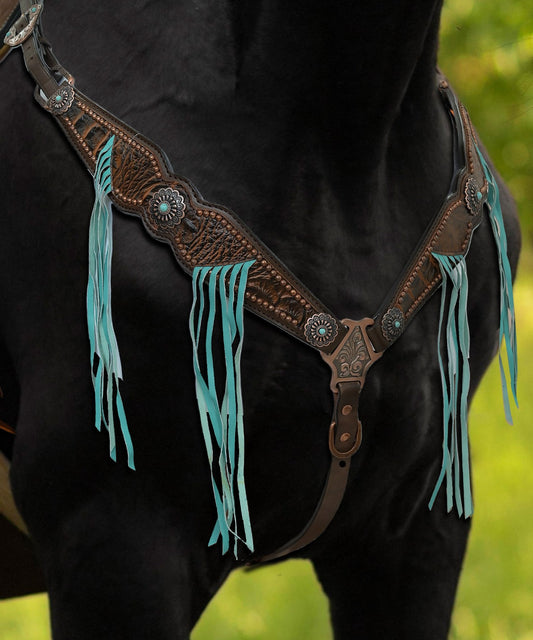 Showman Argentina Cow Leather Bosal Hackamore Set : Down Home Tack & Feed  LLC